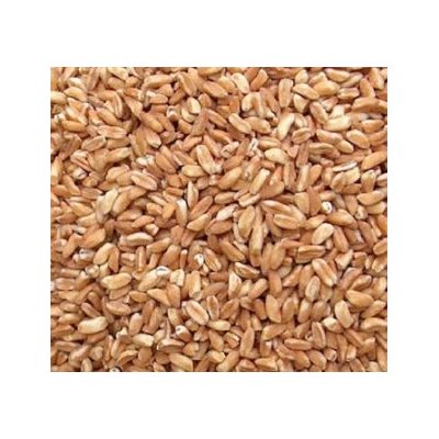 Farro Grain 1kg bag