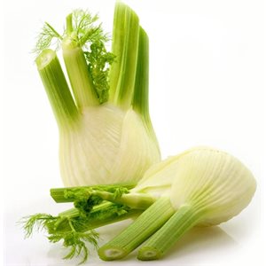 Anise / Fennel 12ct