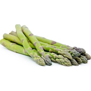 Asparagus-Large 11 / 1lb