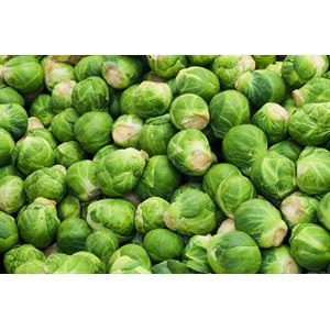 Brussel Sprouts 25lb