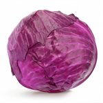 Cabbage Red Medium 50#