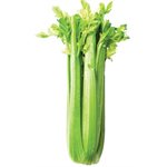 Celery -Naked 24ct
