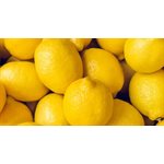 Lemon-Choice 140ct