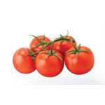 MANITOBA Tomatoes Red On the Vine 11lb Red Sun