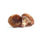 Shiitake Mushrooms #1 / lb (5 lb Box)