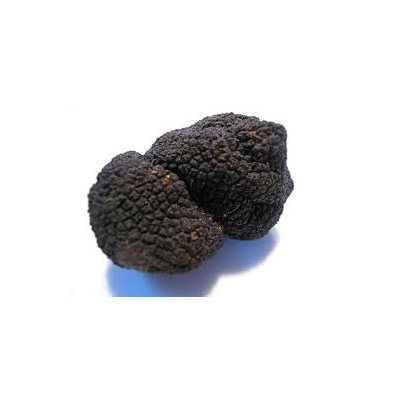 Frozen Himalayan Black Truffles (China)