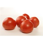 BC Field Tomatoes approx 25lbs