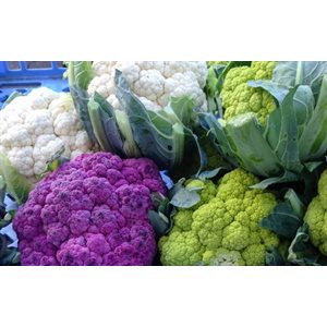 Cauliflower Tri Color 6ct