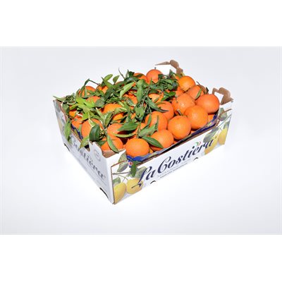 Clementines With Leaf #1 Spain 10kg
